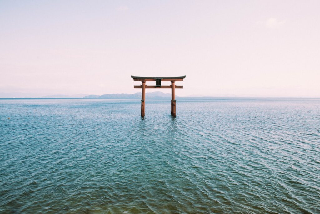 a tori tori floating in the middle of a body of water