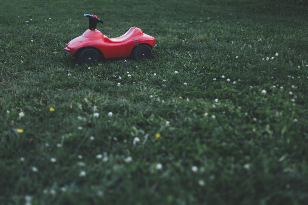 Free stock photo of garden, grass, landscape