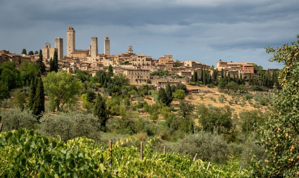 a village on a hill surrounded by trees