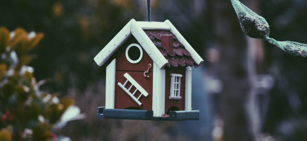 closeup photo of red and white bird house