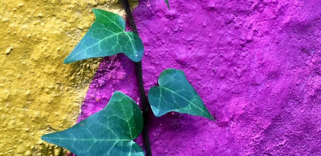 green leaf on purple textile