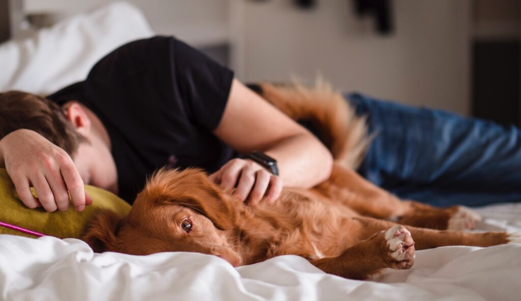 person in black shirt lying on bed