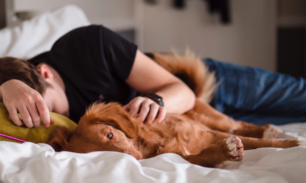 person in black shirt lying on bed