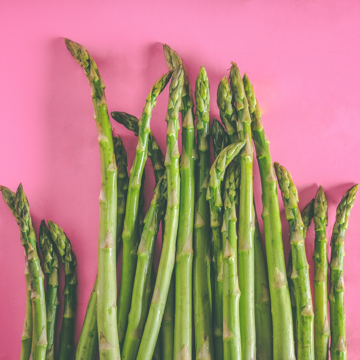 green asparagus vegetables on pink surface