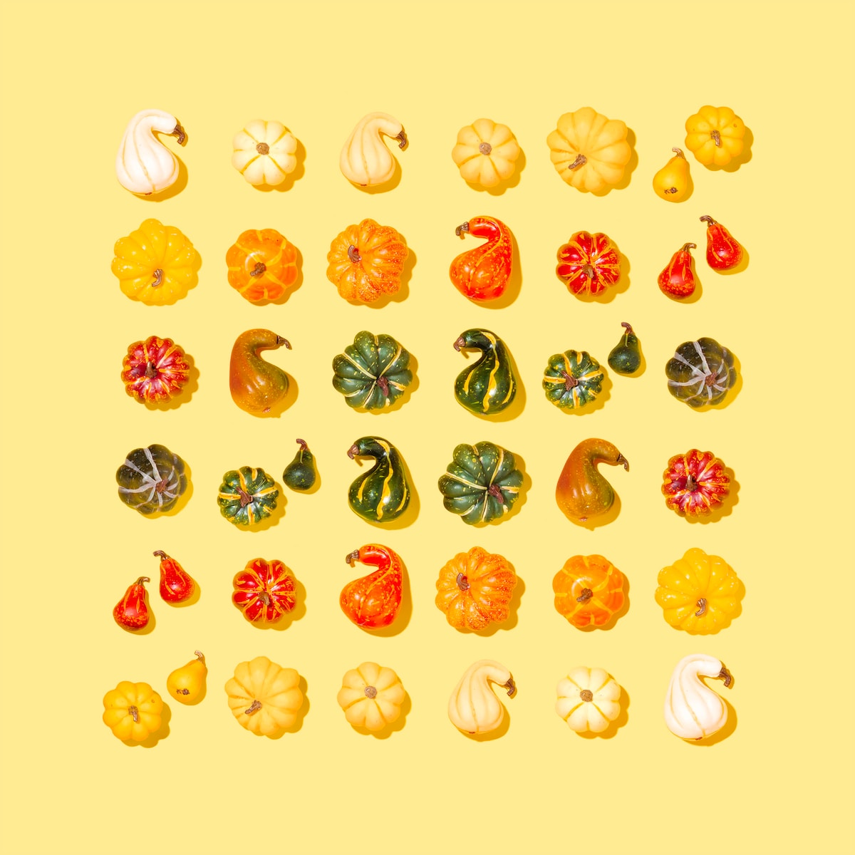 assorted squash illustration