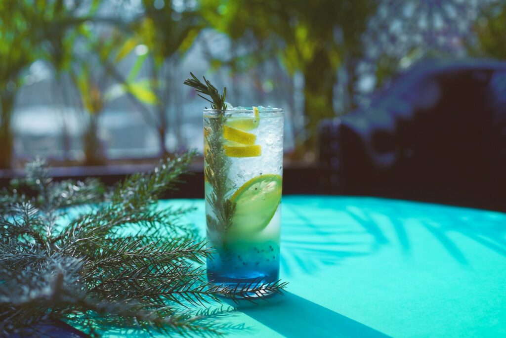 leaf and fruit slices and beverage and iced filled drinking glass