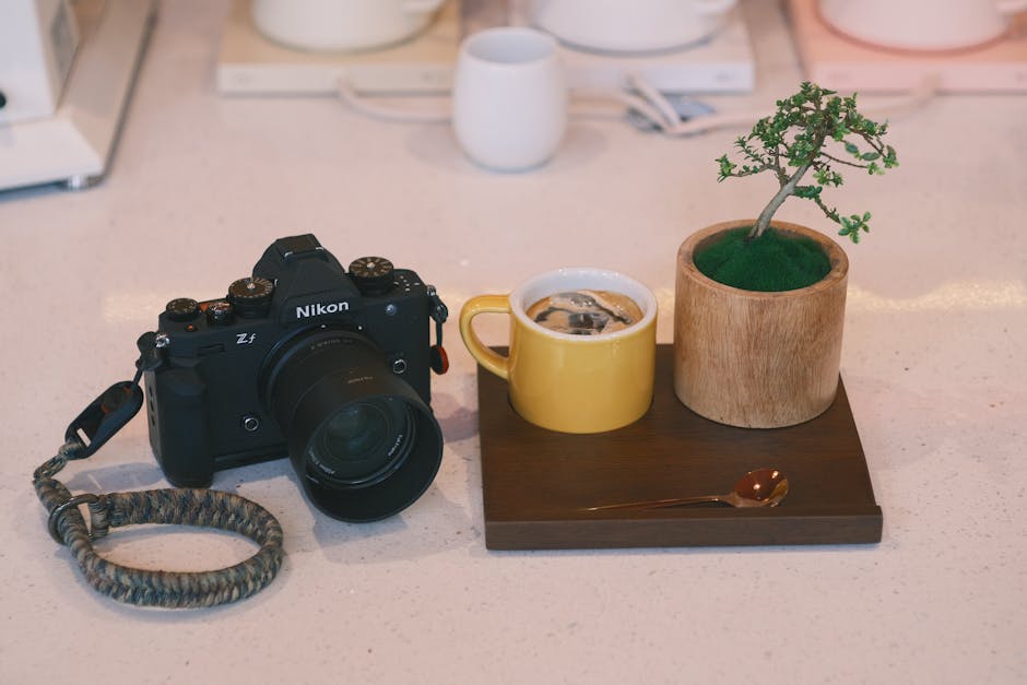 Wooden tray holding a french press, coffee canister, and a small succulent